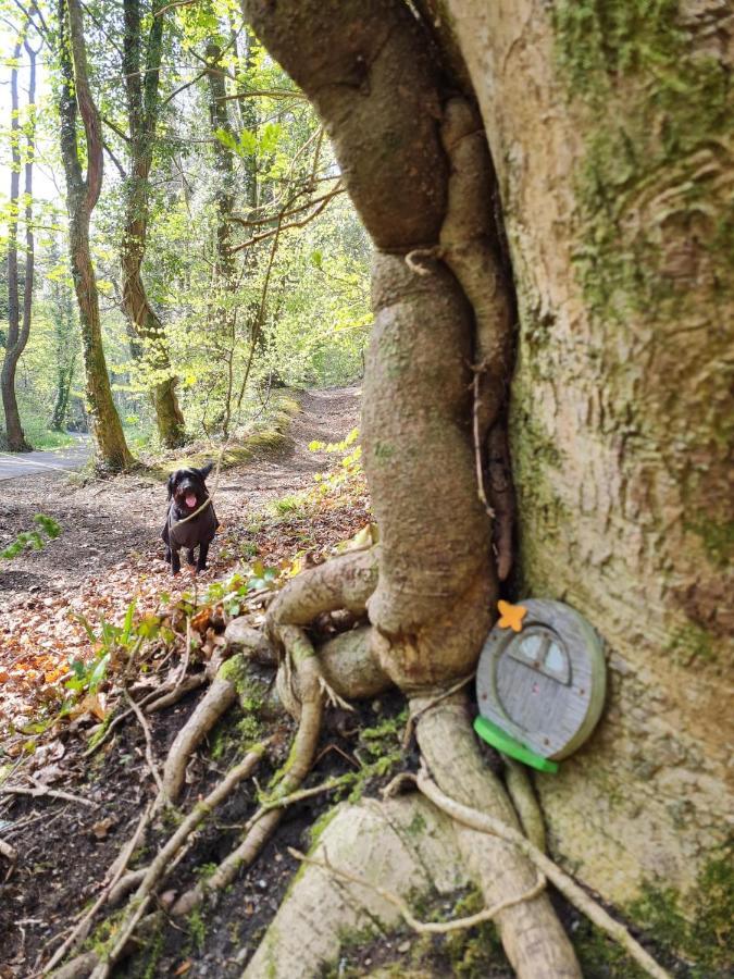 Old Road Cottage Pet Friendly Outdoors Beaches Neath Luaran gambar
