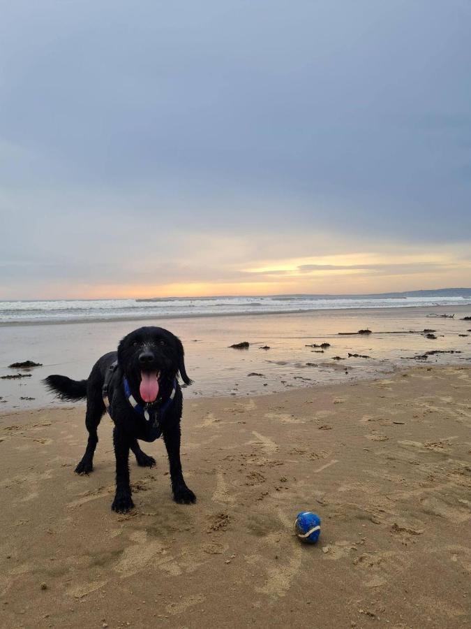 Old Road Cottage Pet Friendly Outdoors Beaches Neath Luaran gambar
